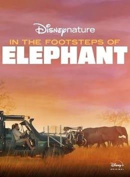 Sur La Route Des ÉlÉphants