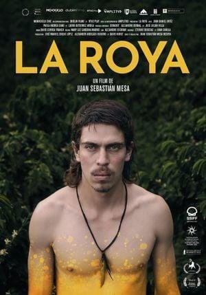 La Roya