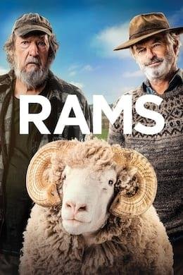 Rams