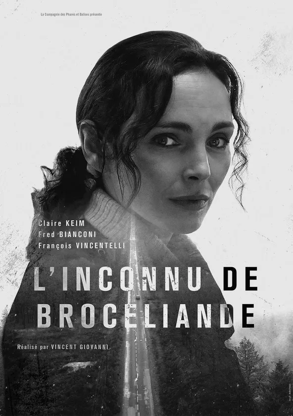 L'inconnu de Brocéliande