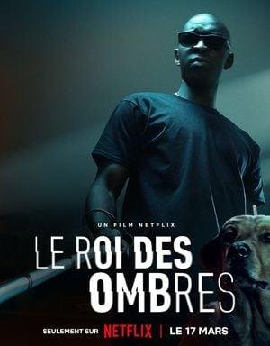 Le Roi des ombres