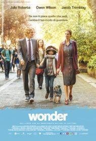 Wonder