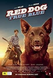 Red Dog True Blue