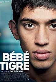 Bébé tigre