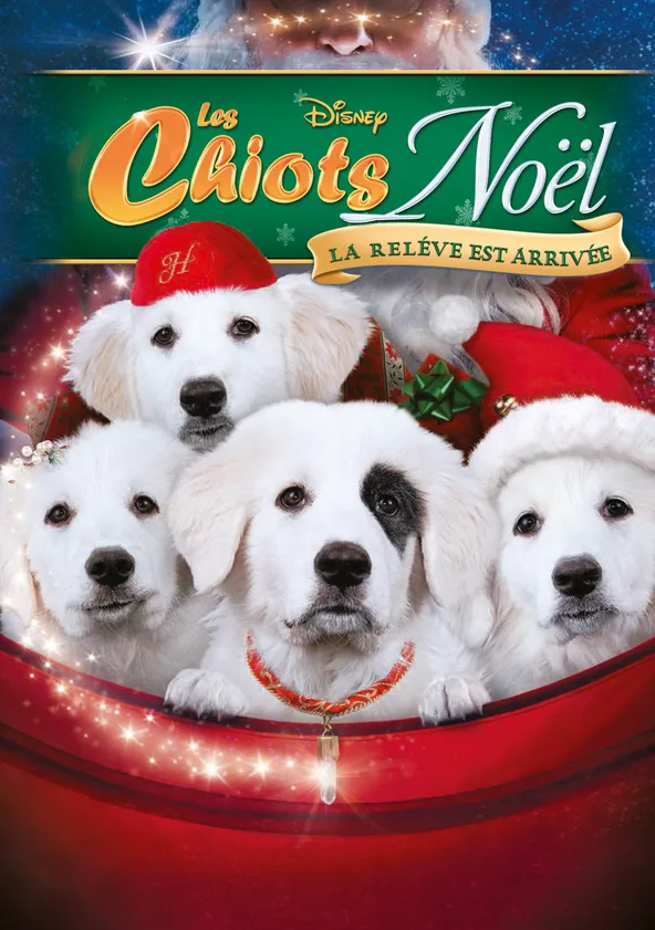 Les Chiots Noël, la relève est arrivée