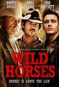 Wild Horses