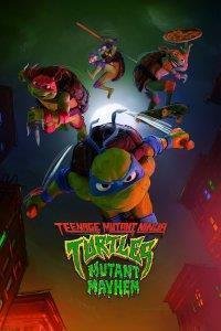 Ninja Turtles : Teenage Years