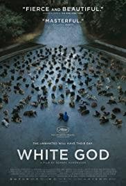 White God