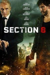 Section 8